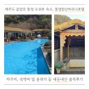 한산호텔 | 통영 오션뷰 숙소, 통영한산마리나호텔 힐링하고 온 솔직후기(가격, 숙박비, 분위기, 후기)