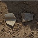 동성축산 이미지