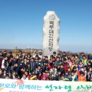흥전초교 Daum카페