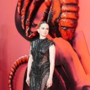 스타갤러리 이미지