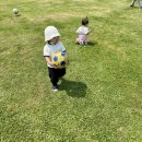 자연목장 | [광주 아이와 가볼 만한 곳] 자연 속 힐링, '송산목장' 방문기! (장점과 단점 솔직 후기) 🐄