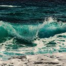 원어민 여행영어회화 이미지