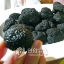 송로축산 이미지