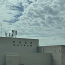 혜전대정문앞 - 좌 | 포도뮤지엄 : 우리 이토록 작은 존재들 관람후기 (내돈내산)