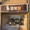 부산햄스터분양 행복햄 | 부산햄스터분양 골든햄스터전문분양샵 [부산햄스터분양행복햄] 방문후기! 귀여운 햄찌와의 행복한 만남💕