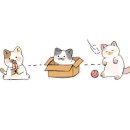 커피상동시장 이미지