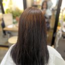 [청담 미용실] 겨울맞이 초코브라운 염색, 강남 미용실 살롱드 라무이!
