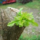 윤성농장 이미지