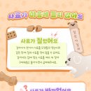 바른동물메디컬센터 이미지