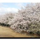 강남영상미디어고등학교 이미지