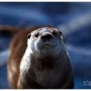 오-월드 이미지