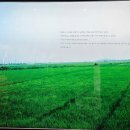 만경농장1 이미지