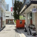 소니아 아지트