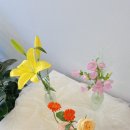 신월동177 이미지