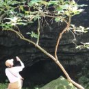 남서광마을입구 (남서광마을방면) 이미지