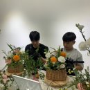 아벨리스 플라워
