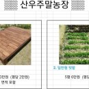 시형농장 이미지