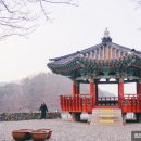 태봉로L 대한민국 구석구석