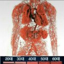 태양크린 이미지