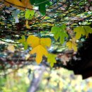 구청 남측광장 이미지