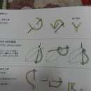 낭연자수