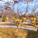 북산역사공원 이미지