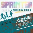 성운유통