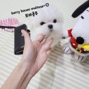 베리하우스 켄넬 이미지