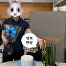카페이랑 남산점 | 202606일상_동시지방선거 개표사무원 알바 후기/요즘 읽는 책