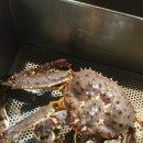 부산대게 이미지