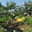 박현수농장 이미지