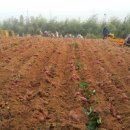 임성규농장 이미지