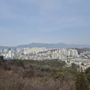 우리통닭 이미지