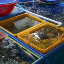 조은상회 이미지