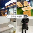 (주)이펫티브 | 추가금 없는 마곡 애견미용샵 추천 정직한 펫살롱 솔직 후기