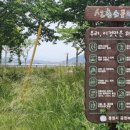 선촌(게이트볼장) 이미지