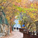 장미공원길 이미지