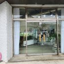 로피플라워&벌룬 이미지