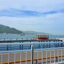 여수 오동도·동백열차 | 여수 해상케이블카 | 찐후기&amp;정보