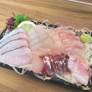 친절한 숙성회씨 이미지