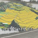 사포회관 이미지