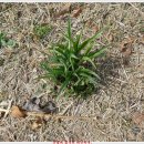 놀부농장 이미지