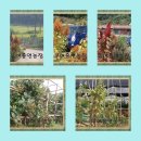 홍연농장 이미지