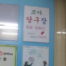 코아 당구장 네이버블로그