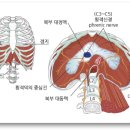 우리콩협동조합 이미지