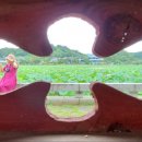 유등연지 둘레길 이미지