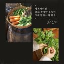 샐러디신대방삼거리역점 | 샐러디 선재스님 고추간장 당근 국수, 고추간장 취나물 비빔밥 내돈내산 후기