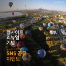 올포기어