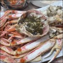 울진대게 이미지