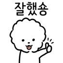 강아지 이발관 이미지